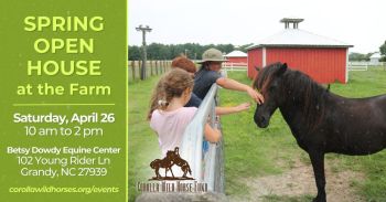 Corolla Wild Horse Fund, Mustang Mornings at the Farm