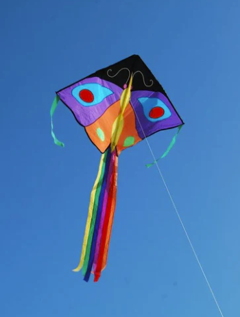 Kitty Hawk Kites, Easy to Fly Kites