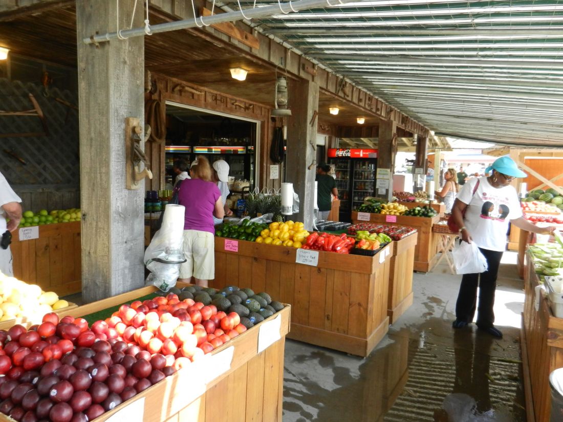 Seaside Farm Market - All You Need to Know BEFORE You Go (with Photos)