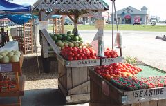 Seaside Farm Market Corolla photo