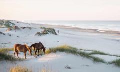 Coast Realty photo