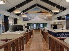 The Northern Outer Banks | Outer Banks photo