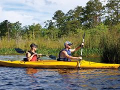 Kitty Hawk Kites photo