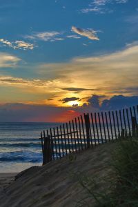Carolina Designs photo