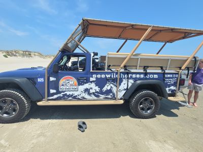 Back Beach Wild Horse Tours photo