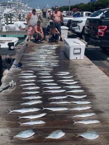 OBX Bait &amp; Tackle Corolla Outer Banks photo