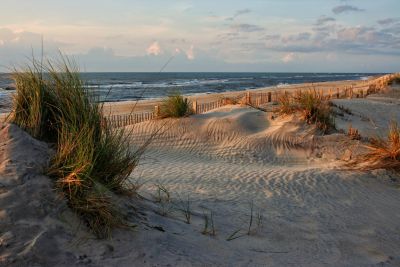 Coast Realty photo