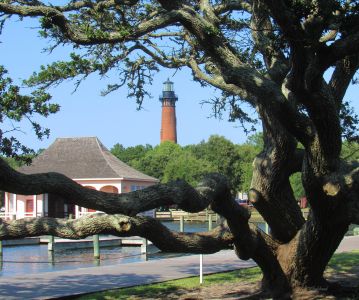 Whalehead photo