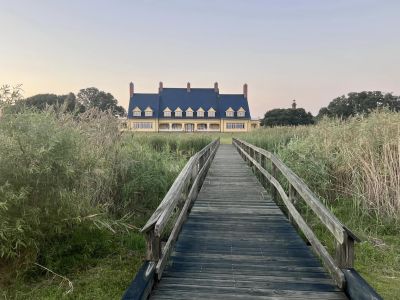 Whalehead photo