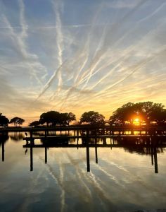 Whalehead photo