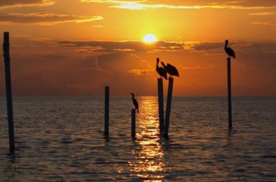 Just For the Beach Rentals photo