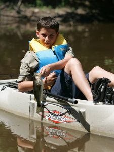 Kitty Hawk Kites photo