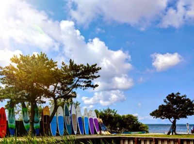 Corolla &amp; Duck Parasail photo