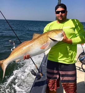 OBX Bait &amp; Tackle Corolla Outer Banks photo