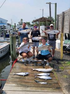 OBX Bait &amp; Tackle Corolla Outer Banks photo