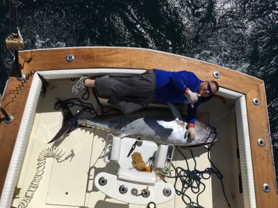 OBX Bait &amp; Tackle Corolla Outer Banks photo