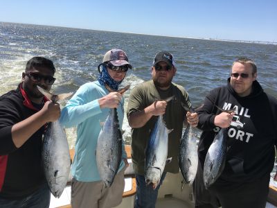 OBX Bait &amp; Tackle Corolla Outer Banks photo