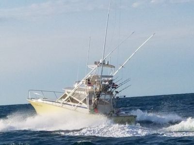 OBX Bait &amp; Tackle Corolla Outer Banks photo