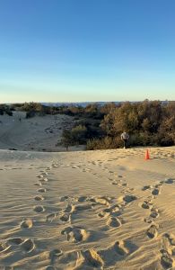 Outer Banks Sporting Events photo