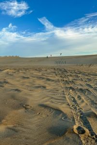 Outer Banks Sporting Events photo