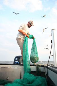 OBX Bait &amp; Tackle Corolla Outer Banks photo