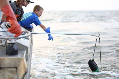 OBX Bait &amp; Tackle Corolla Outer Banks photo
