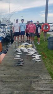 OBX Bait &amp; Tackle Corolla Outer Banks photo