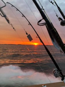 OBX Bait &amp; Tackle Corolla Outer Banks photo