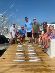 OBX Bait &amp; Tackle Corolla Outer Banks photo