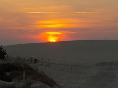 Catch the sunset with Bob's Wild Horse Tours