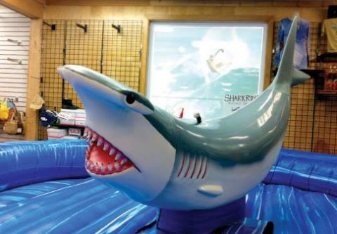 Kitty Hawk Surf Co., Ride the Shark!