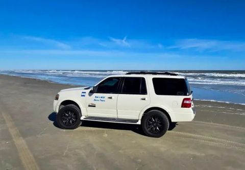 Back Beach Wild Horse Tours, Enclosed SUV Wild Horse Tour