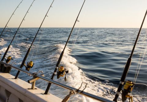 Kitty Hawk Surf Co., Deep Sea Fishing Charters