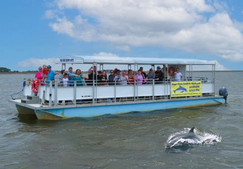 Kitty Hawk Kites, Daytime & Sunset Dolphin Tours