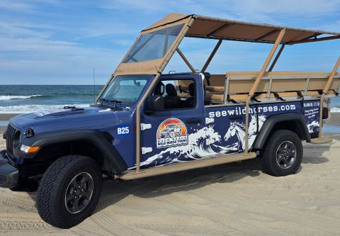 Bob's Corolla Wild Horse Tours, Jeep Safari Tour