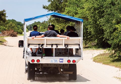 Back Beach Wild Horse Tours, Tour Scenic 4x4 Wild Horse Area