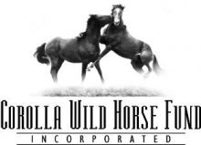 Corolla Wild Horse Museum