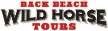 Back Beach Wild Horse Tours Corolla NC