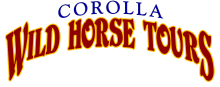Corolla Wild Horse Tours Corolla Wild Horse Tours