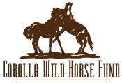 Logo for Corolla Wild Horse Fund