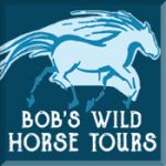 Bob's Wild Horse Tours