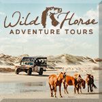 Wild Horse Adventure Tours