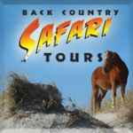 Back Country Wild Horse Safari Tour